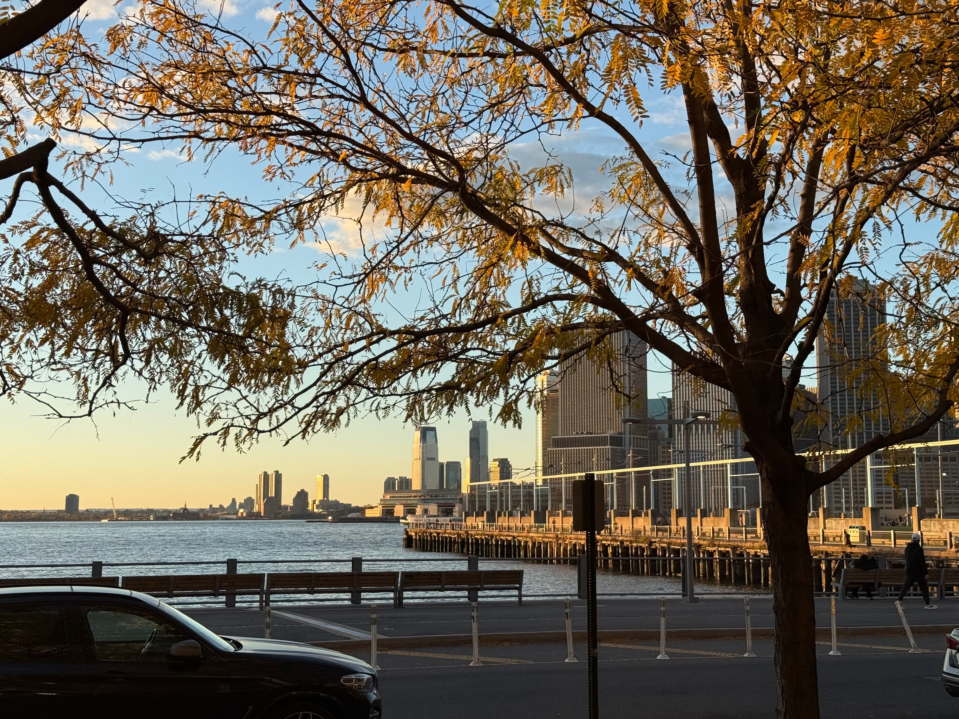 Central Park in Autumn